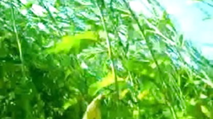 सेक्स के साथ परिपक्व माँ मुझे सेक्सी पिक्चर दिखाओ
